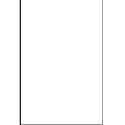 Liasses feuilles autocopiantes vierges