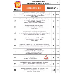 Fiches interrogations écrites DE