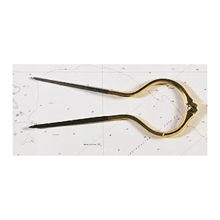 Compas type marine lyre