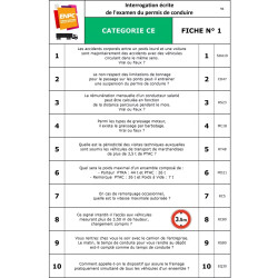 Fiches interrogations écrites permis CE
