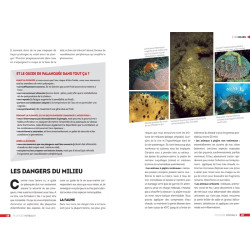 Pages intérieures les dangers du milieu de la mer
