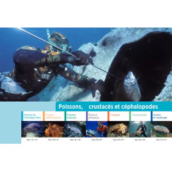 Page intérieur Poissons, crustacés et céphalopodes