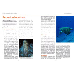 Page intérieur espèces protégés