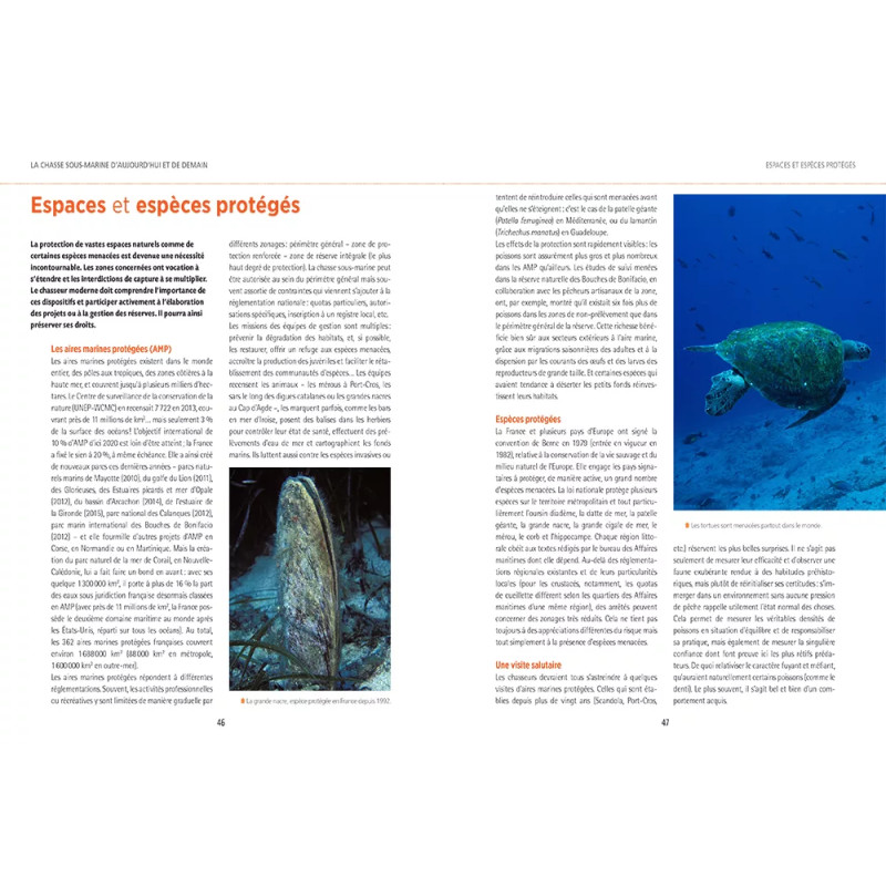 Page intérieur espèces protégés