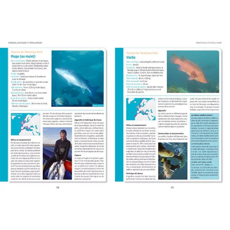 Page intérieur Poisson de l'Atlantique Nord