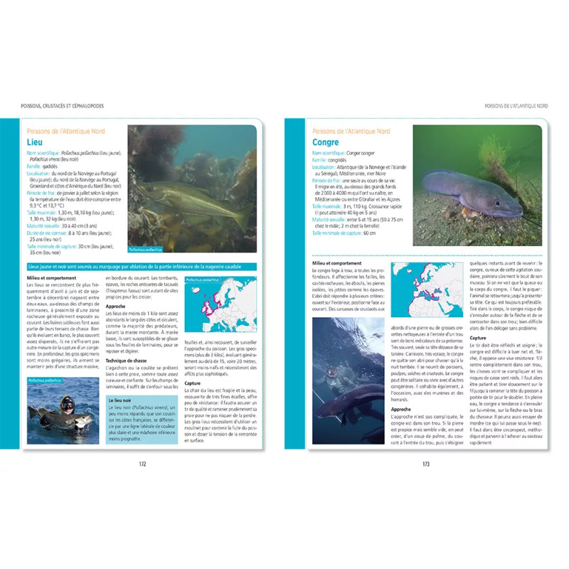 Page intérieur Poissons de l'atlantique nord 2