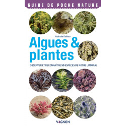 Converture ouvrage Algues et plantes - Observer et reconnaître 50 espèces de notre littoral