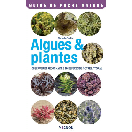 Converture ouvrage Algues et plantes - Observer et reconnaître 50 espèces de notre littoral