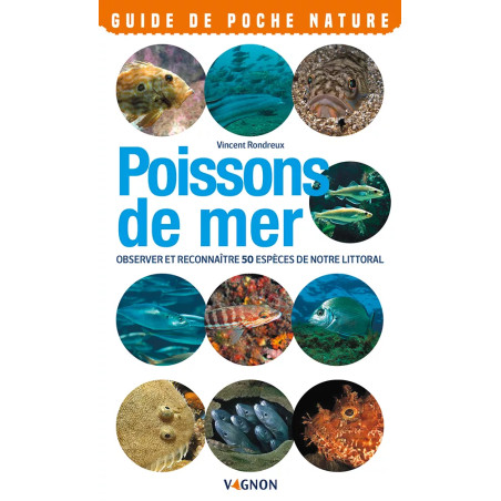 Couverture ouvrage Poissons de mer