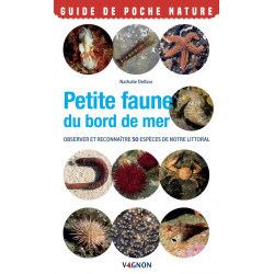 Couverture ouvrage Petite Faune au bord de mer
