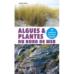 Algues et plantes du bord de mer - 50 espèces | Enpc-Ediser