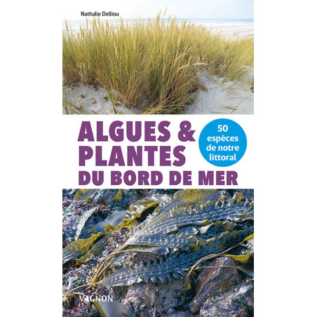 Algues et plantes du bord de mer - 50 espèces | Enpc-Ediser