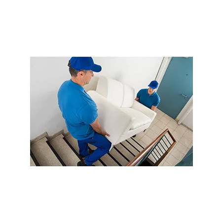 Visuel gestes et postures