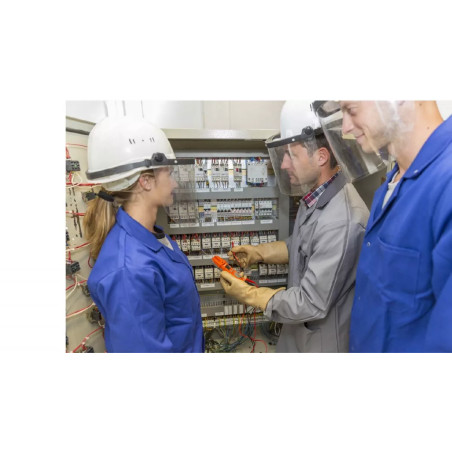 Visuel habillitation electrique BC B1V B2V