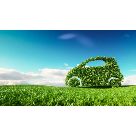 Visuel l'écoconduite au volant d'un véhicule léger