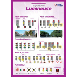 Carte murale signalisation lumineuse