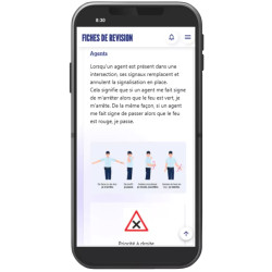 Interface mobile contenu à réviser