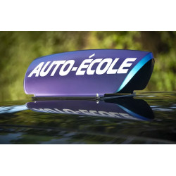 Panneau de toit vue irisé violet