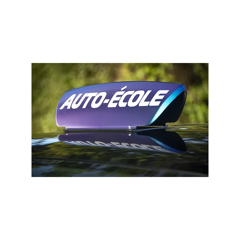 Panneau de toit vue irisé violet