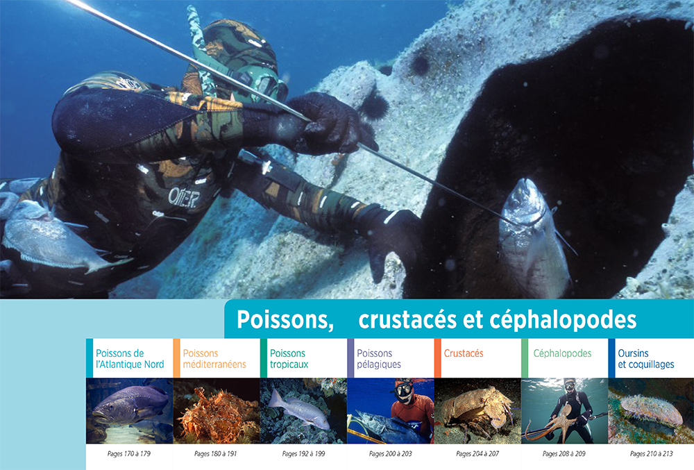 La chasse sous-marine - Éditions Vagnon